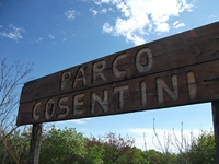 Parco Cosentini